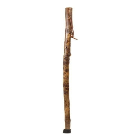 Walking Stick Brazos Free Form Photographer Wood 58 Inch Height Hickory
