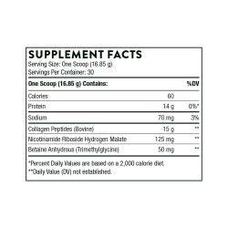 Thorne Collagen Fit Unflavored Collagen Powder Oral Supplement 17.8 oz Canister