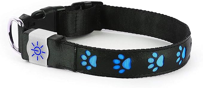 USB Rechargeable LED Dog Collar, Blue and Pink