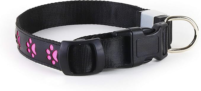USB Rechargeable LED Dog Collar, Blue and Pink