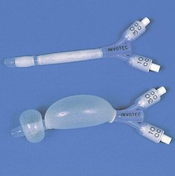 Wound Fillers Dressings