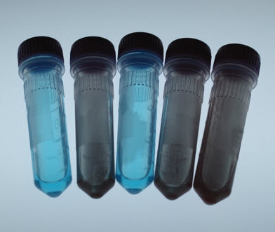 Student Lab Activity