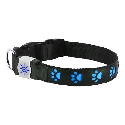 Night Scout Rechargeable Illuminating Dog Collar Safety and Fun for Every Pup