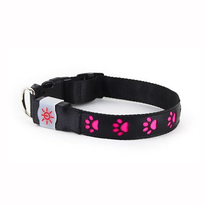 Night Scout Rechargeable Illuminating Dog Collar Safety and Fun for Every Pup