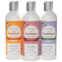 Natural Oil Infused Intense Hair Conditioner Avocado Oil & Silk Proteins