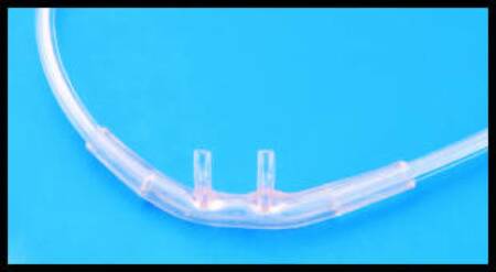 Nasal Cannula AirLife Adult Curved Prong / NonFlared Tip 7 Foot O2 Line