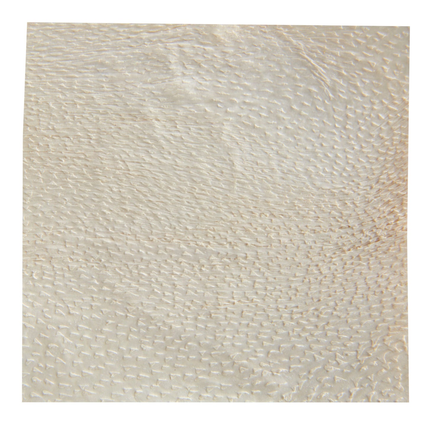 Endoform Antimicrobial Silver Collagen ECM Dressing 2 x 2 Inch Sterile Square
