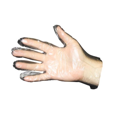 Food Service Glove Prime Source Large Polyethylene Clear Sterile