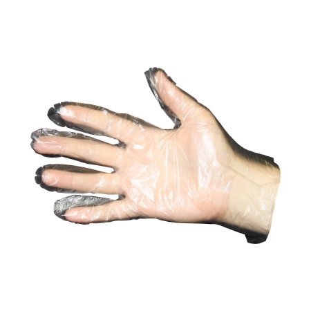 Food Service Glove Prime Source Large Polyethylene Clear Sterile