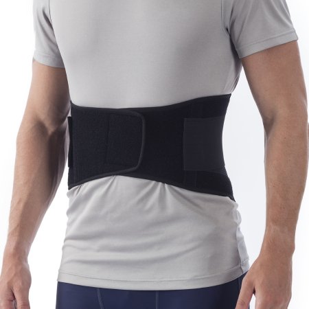Occupational Back Support NYOrtho Deluxe