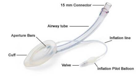 Curved Laryngeal Mask LMA Flexible Size