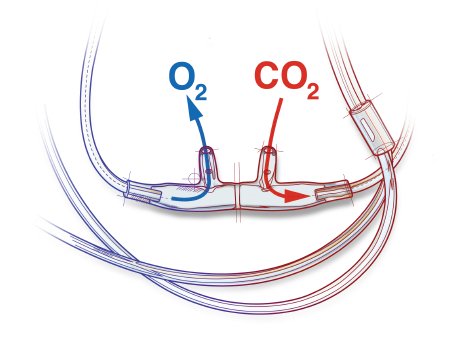 ETCO2 Nasal Sampling Cannula with O2 Delivery Salter-Style Adult Curved Prong / NonFlared Tip 7 Foot O2 / 7 Foot CO2 Line