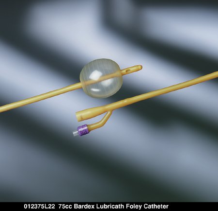 Foley Catheter