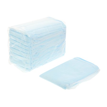 Disposable Underpad Wings Plus 23 X 36 Inch