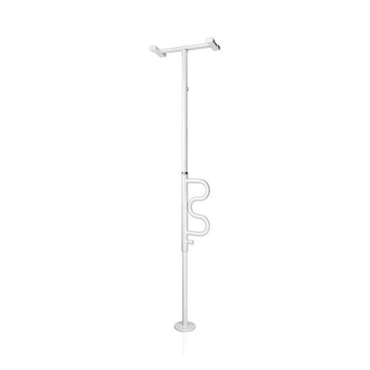 Security Pole with Curved Grab Bar Stander