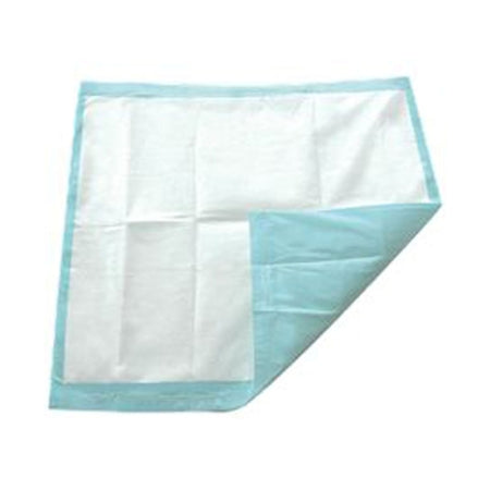 Disposable Underpad TotalDry 30 X 30 Inch