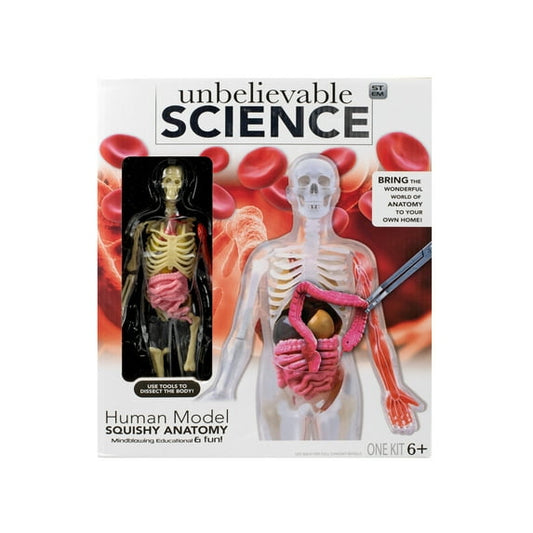 RMS International Human Model Squishy Anatomy Kit – STEM Educational Anatomy Toy, Ages 8+