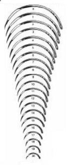 Suture Needles