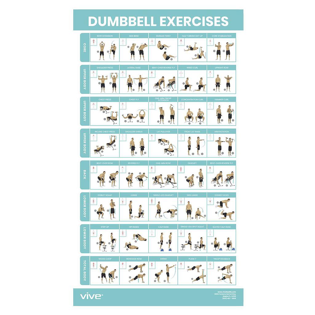 exercise poster,exercise posters,workout poster,workout posters,workout posters for home,workout posters for home gym