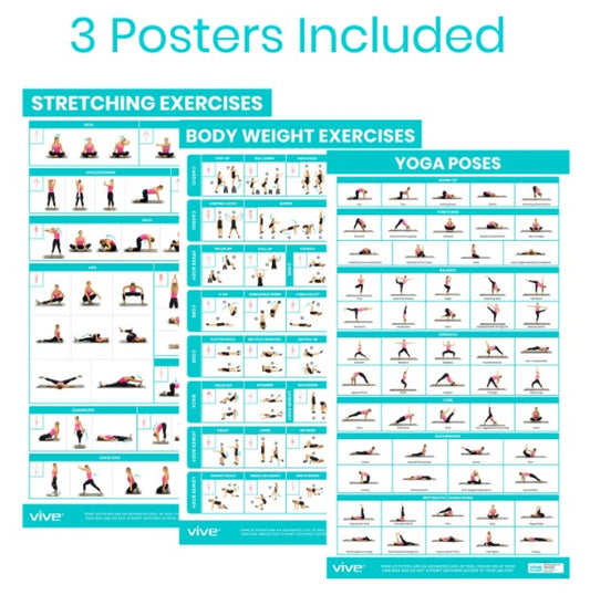 exercise poster,exercise posters,stretching workout poster,workout poster,workout posters for home,workout posters for home gym,yoga poses poster, Workout Poster