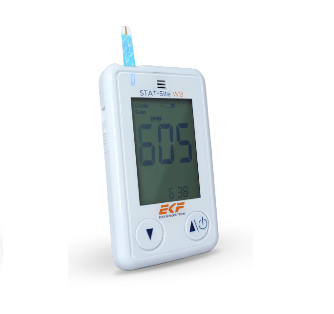 Control B-Ketone Testing Low Level