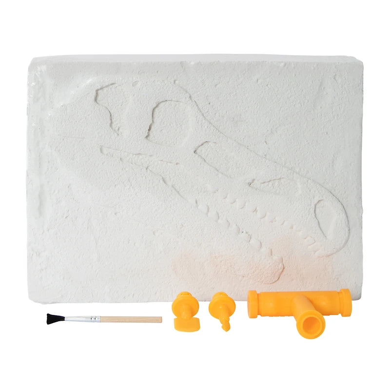 Dig Team T-Rex Skeleton Dig Set – Dinosaur Excavation Kit for Kids Ages 6+