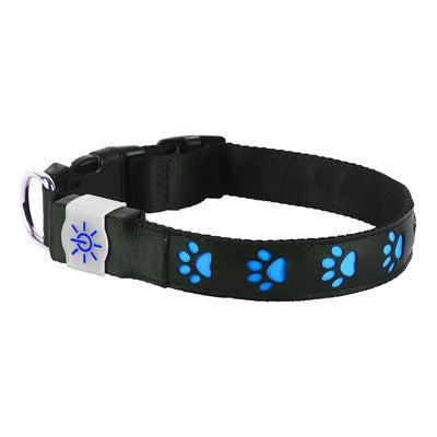 Night Scout Rechargeable Illuminating Dog Collar