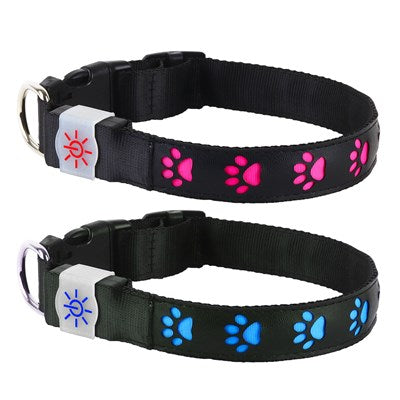 Night Scout Rechargeable Illuminating Dog Collar Safety and Fun for Every Pup